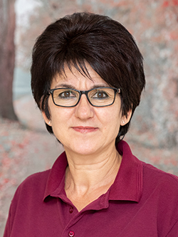 Niculina Dragoi